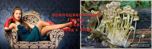 прущий лед Иннополис