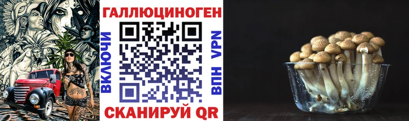 Псилоцибиновые грибы GOLDEN TEACHER  Купить где  Красногорск 